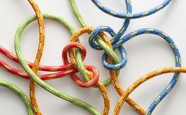 5 problemen van teamwork Ben Tiggelaar MT