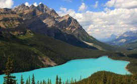 Meer Canada D-reizen