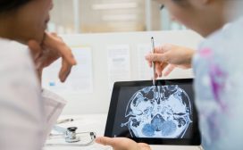 Stress, brein, lichaam, gezond, stressgevoelig, stressbestendig, veerkracht
