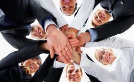 platte organisatie