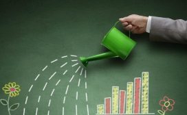 leren startups verduurzaming