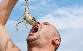 Productief zijn - iedereen wil het, slechts weinigen kunnen zich er echt toe zetten. Het eten van de spreekwoordelijke kikker gaat niet iedereen even goed af. Productiviteitsgoeroe Brian Tracy geeft 8 tips voor de maaltijd.