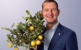 DFG Michel van Hout Dutch Flower Group