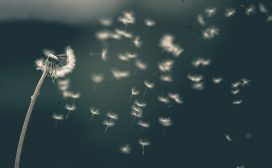Mentale gezondheid