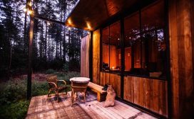 Thuiswerken in het bos