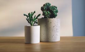 Planten