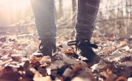 herfst wandelen