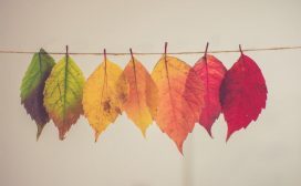 soft skills businesstransformatie